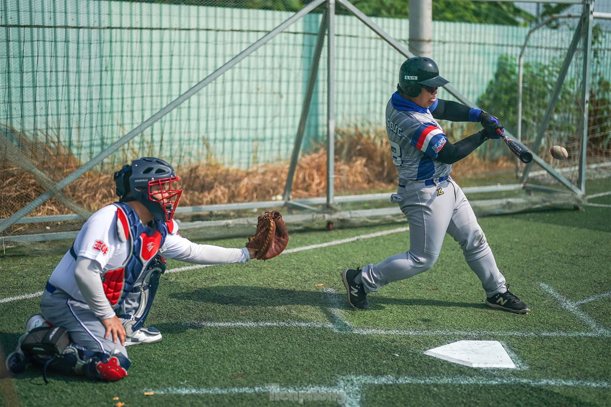 Khám phá mức hời khi cược giải bóng chày Softball